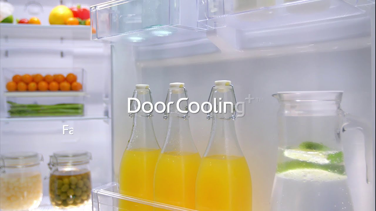Why LG Door Cooling is best! YouTube