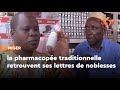 Niger la pharmacope traditionnelle innove et gagne le cur des consommateurs