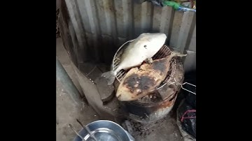 Ngày 22 tháng 03 năm 2022