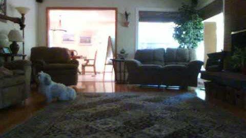 Funny Playstation Eye Create Stop Motion Video #1