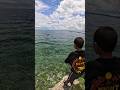 😱🎣21 FISH! TRALALELE!😂🏝️🇵🇼 #fishing #micronesia #palau