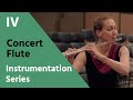 Concert Flute - David Newman Instrumentation Series