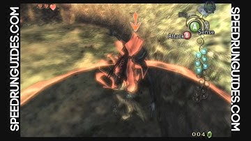 Speed Run Guide -TP early mastersword