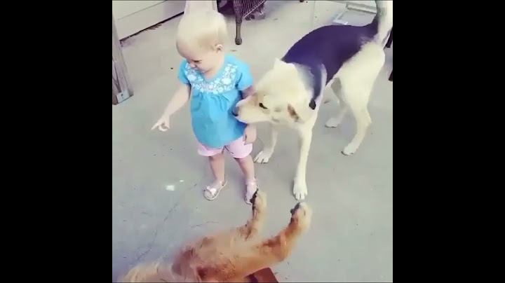 Toddler has the cutest relationship with her dog #shorts #relationship #dog