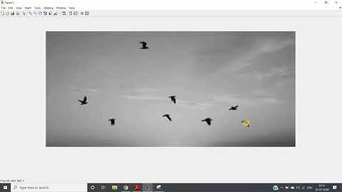 Thresholding image without using any loop or inbuilt function | MATLAB