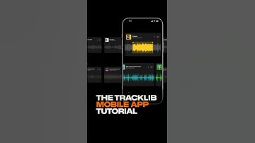 How to find and flip samples in the TRACKLIB Mobile App 💡