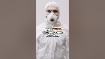 Why the Nipah Virus is So Terrifying