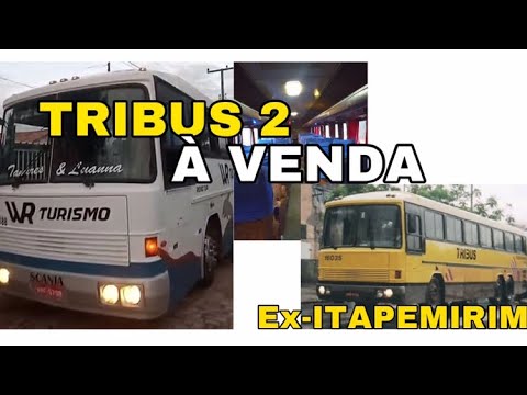 Vidéo: Tribus 2