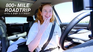 SURPRISE... we moved!! // packing up & driving over 800 miles with a baby & 2 dogs by Cathrin Manning 14,045 views 2 weeks ago 21 minutes