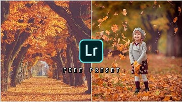 Autumn preset Lightroom mobile - How to edit autumn look free preset
