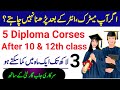 Top 10 life changing diploma degrees in pakistan   best diploma course  online globe