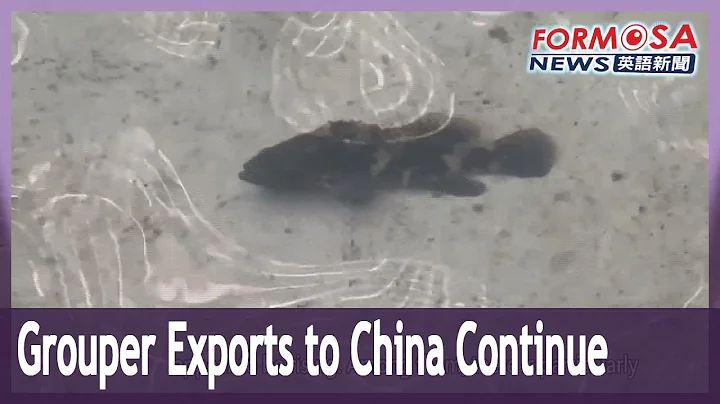 Farmers and officials deny reports that China has reimposed ban on grouper imports｜Taiwan News - DayDayNews