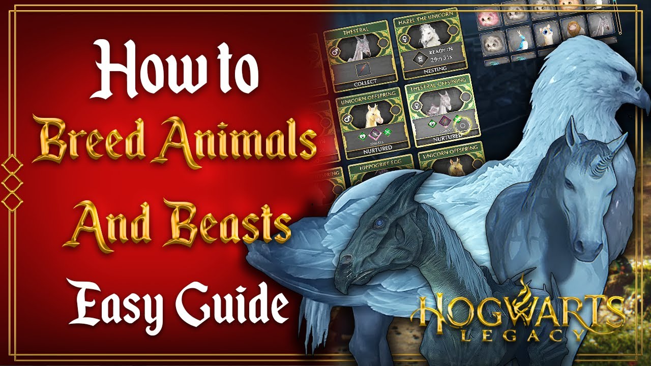 How To Breed Animals And Beasts In Hogwarts Legacy