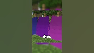 Mini Mod Reviews - Elytra Trims