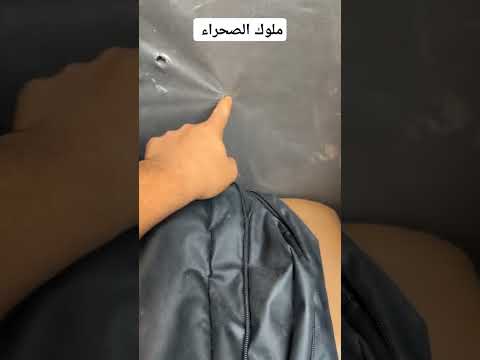 قطاع الطرق ماذا فعلو شاهد