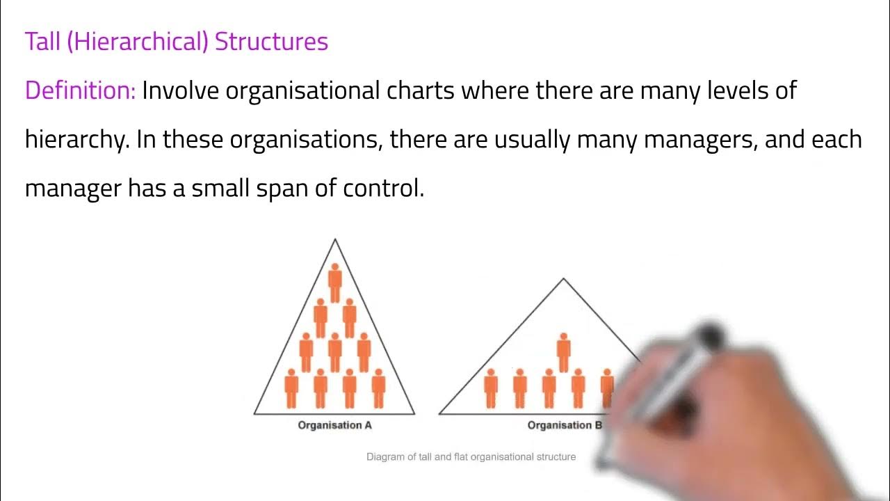 33 IGCSE Business What is Delayering in Tall & Flat Organisational