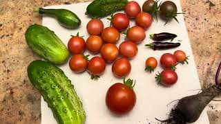2025年8月5日的采收\/Gartenernte\/Garden Harvest