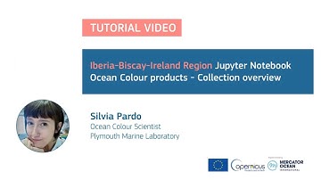 Jupyter Tutorial - IBI Region - Ocean Colour products - Collection overview