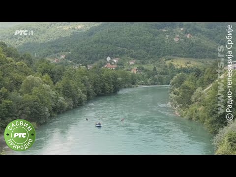 Sasvim prirodno: Dva lica reke Drine, II deo
