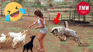 Funny & Hilarious People's Life 😂 #51 - Try not to Laugh | Funny Fails compilation 2024