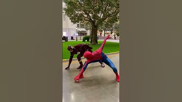 Spiderman Vs The Flash🤣 #shorts