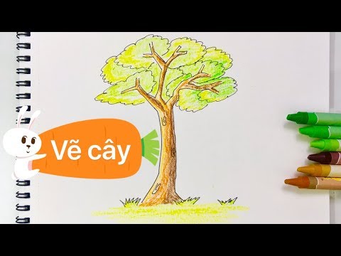 Cách vẽ cây xanh - How to draw a tree - YouTube