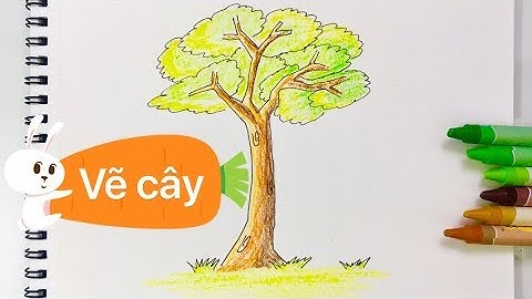 Cách vẽ cây xanh - How to draw a tree