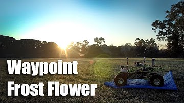 Waypoint Frost Flower