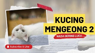 Kucing Mengeong Terbaru Untukmu, Bisa BUat Nada Dering loh...