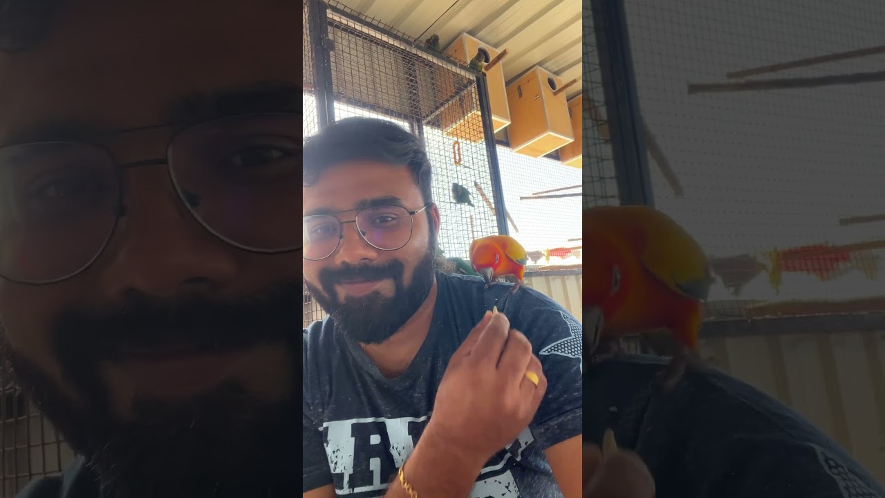 Birds Care and Tips | Multivitamin 😊