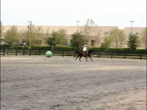 Warren County VA 4H Equine Extravaganza Bridleless Riding Demo - 1