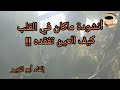 اناشيد بدون موسيقى انشودة ماكان في القلب كيف العين تفقده 