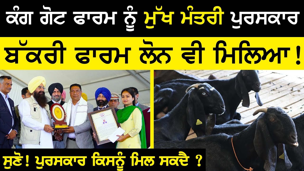 Kang goat farm ਨੂੰ ਮੁੱਖ ਮੰਤਰੀ ਪੁਰਸਕਾਰ | Bakri Farm Loan ਵੀ ਮਿਲਿਆ ! | Sirlekh