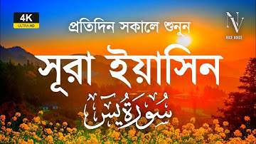 প্রতিদিন সকালে শুনুন সূরা ইয়াসিন (سورة يس) | Morning Quran Tilawat | Surah Yaseen by Alaa Aqel
