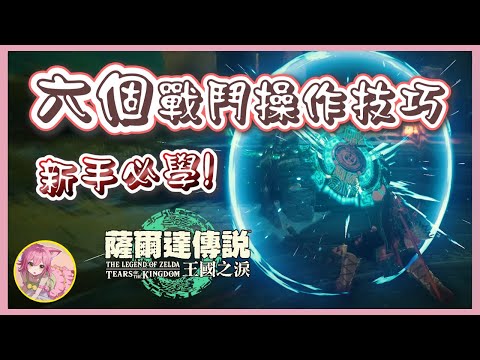 【新手必看】新手必須會的六個操作技巧⚔ | 薩爾達傳說 : 王國之淚 #8bitdo #八位堂獵戶座手把