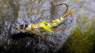 Tying a Large MayFly Nymph by Davie McPhail