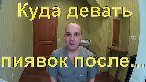Гирудотерапия для чайников 3 # Куда девать пиявок после сеанса