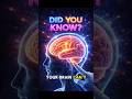 Brain Pain से क्यों बचा रहता है? 🤯 #BrainFacts#HumanBrain#ScienceFactsHindi#AmazingFacts#DidYouKnow