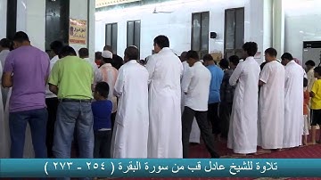 سورة البقرة ( 254 - 273 )
