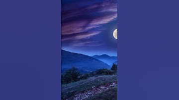 (( حتي إذا اتو علي واد النمل قالت نمله يأيها النمل ادخلو مسكنكم )) تلاوة مؤثرة _ للقارئ/ مروان نفادي