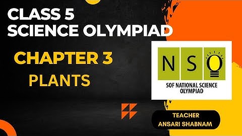 Class 5 NSO | Chapter 3 Plants