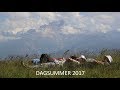 Dagsummer 2017 | Trip to Dagestan and Chechnya. East Caucasus. Russia