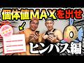 【ポケモン GO】個体値MAXが出るまで歩きまくれwww（ダイマックスヒンバス編）