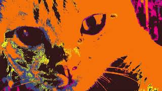 Video thumbnail of "Meow Shoegazer - Meow02"