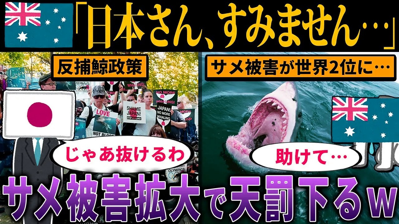 日本がIWC脱退から6年が経過し、反捕鯨国オーストラリアでサメ被害が拡大し天罰が下る！【海外の反応・ゆっくり解説】