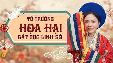 Từ Trường Hoạ Hại - Bát Cực Linh Số | Chuyên gia Vi Quyên
