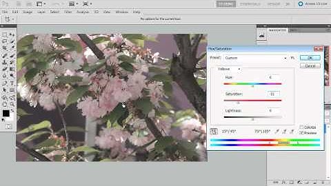Adobe Photoshop CS5 Extended Essentials (Chapter 3 - Part 3)