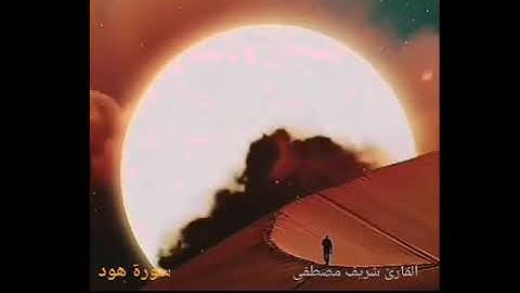 تلاوة أجمل 💜  سورة هود  شريف  مصطفى