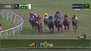 Vidéo de la course PMU PREMIO YACUAMBI HANDICAP