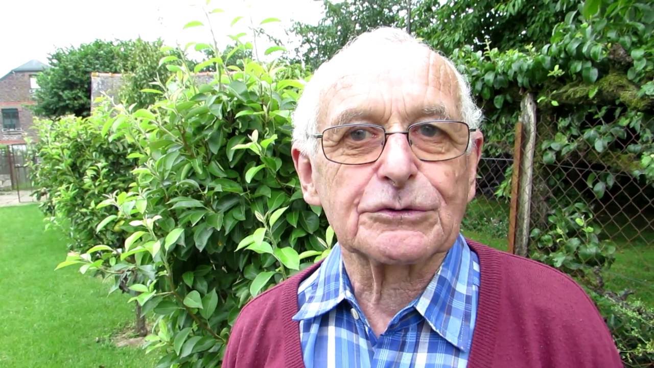 Permaculture de Pomme de terre